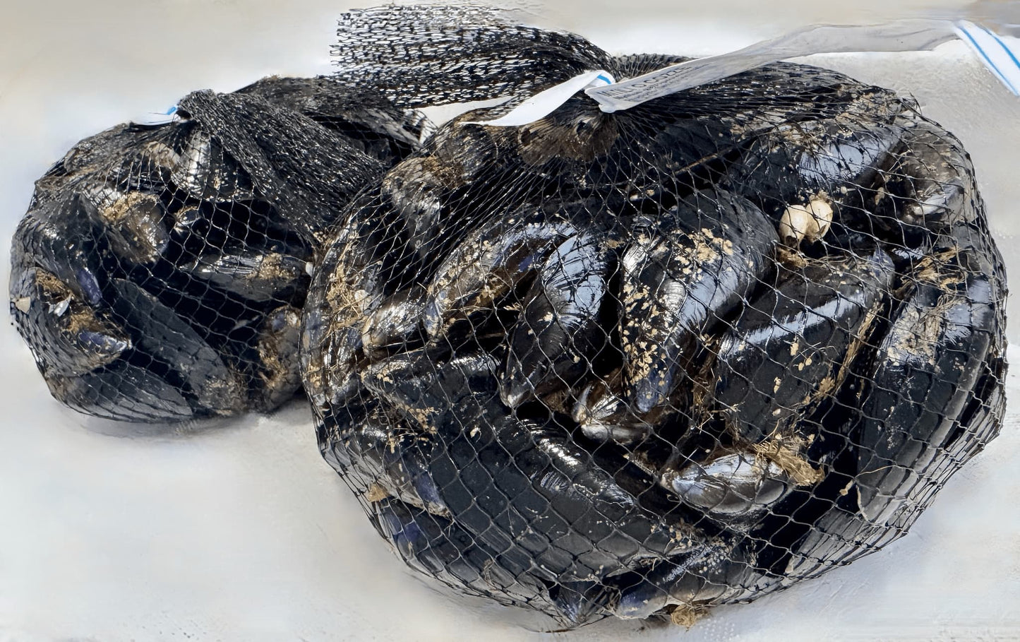 Cozze Italiane Fresche