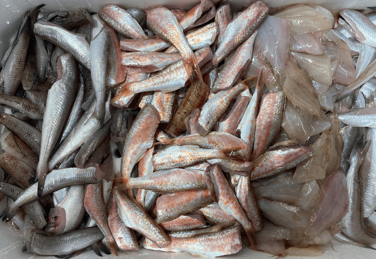 Frittura di paranza fresca