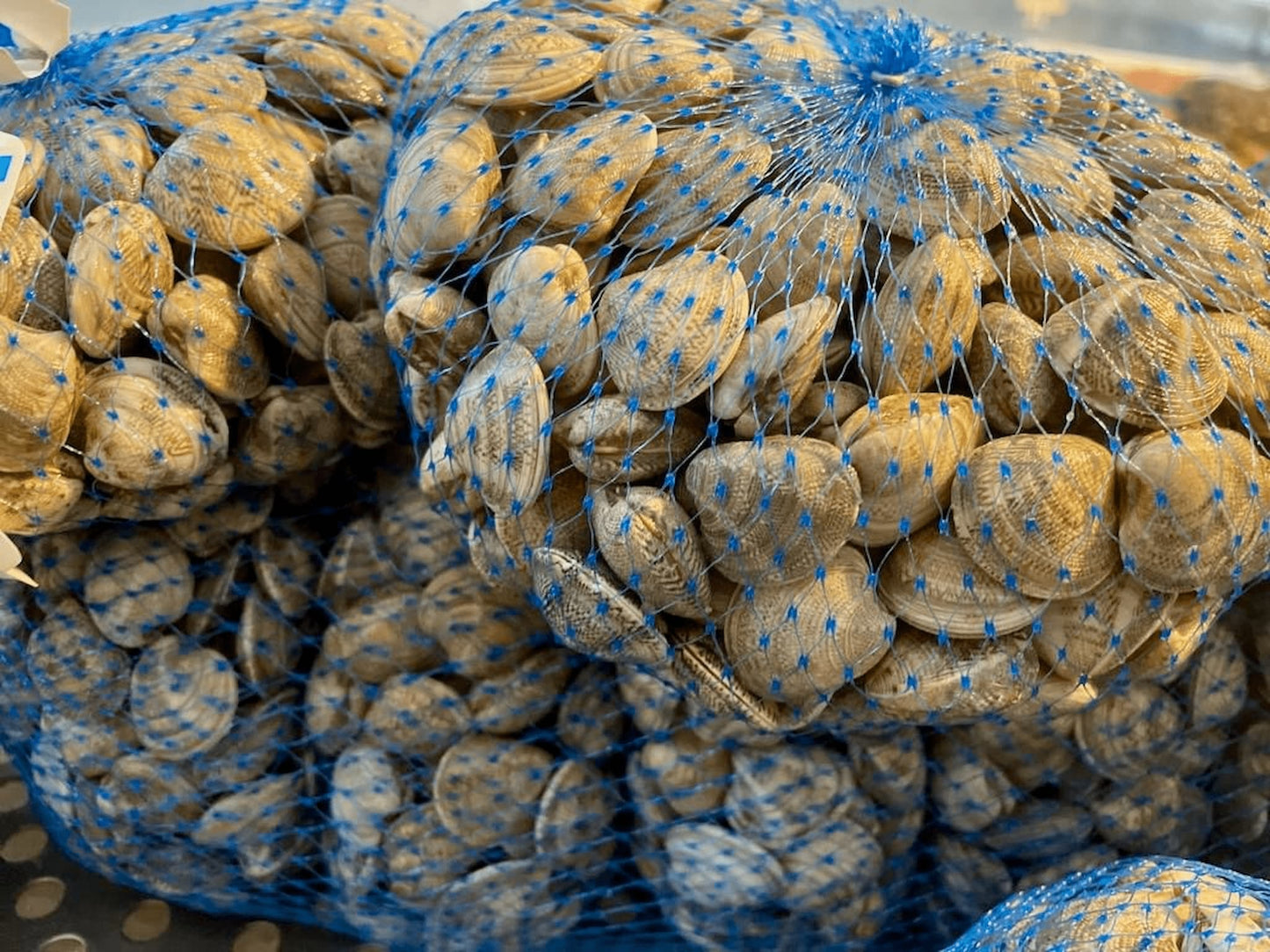 Vongole Lupini Italiane Fresche
