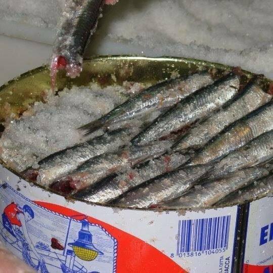 Acciughe salate CANTABRICO latta 5 Kg 14 x strato - Pescheria Ferroni | Milano