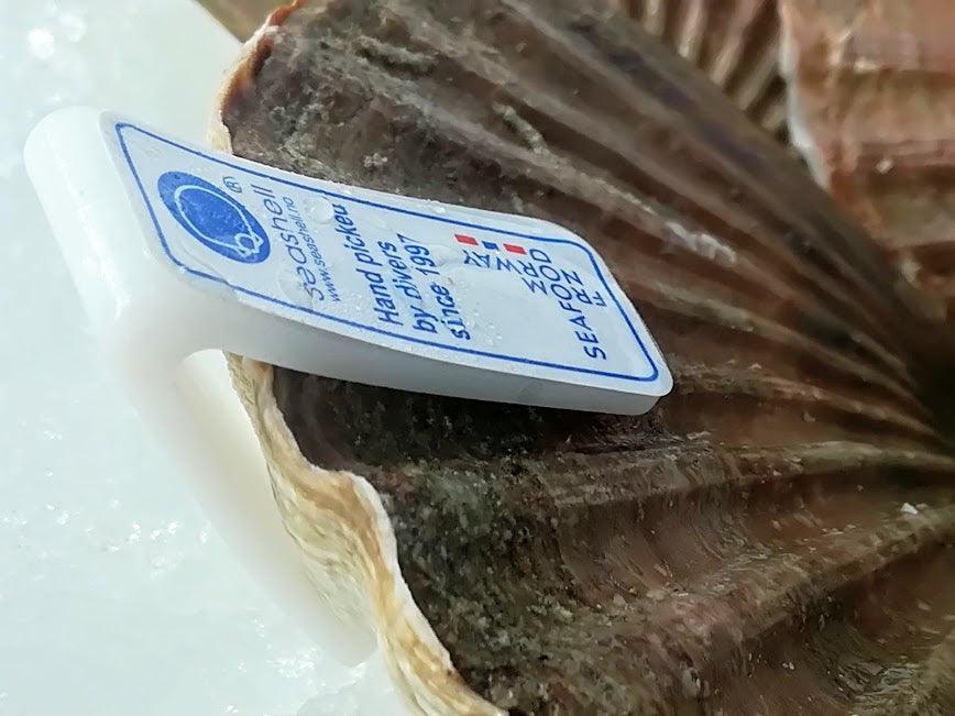 Cappesante atlantiche pescate Norvegia - Pescheria Ferroni | Milano