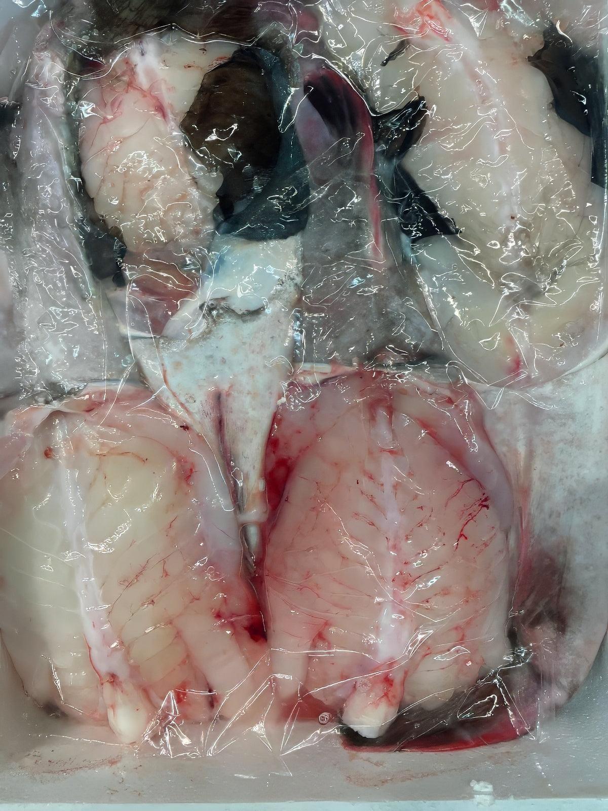 Coda di rospo atlantica - Pescheria Ferroni | Milano