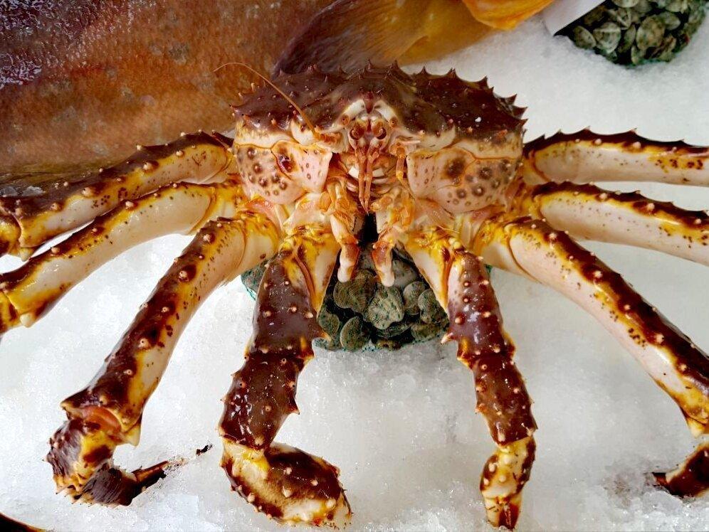 King Crab o Granchio reale fresco intero - Pescheria Ferroni | Milano