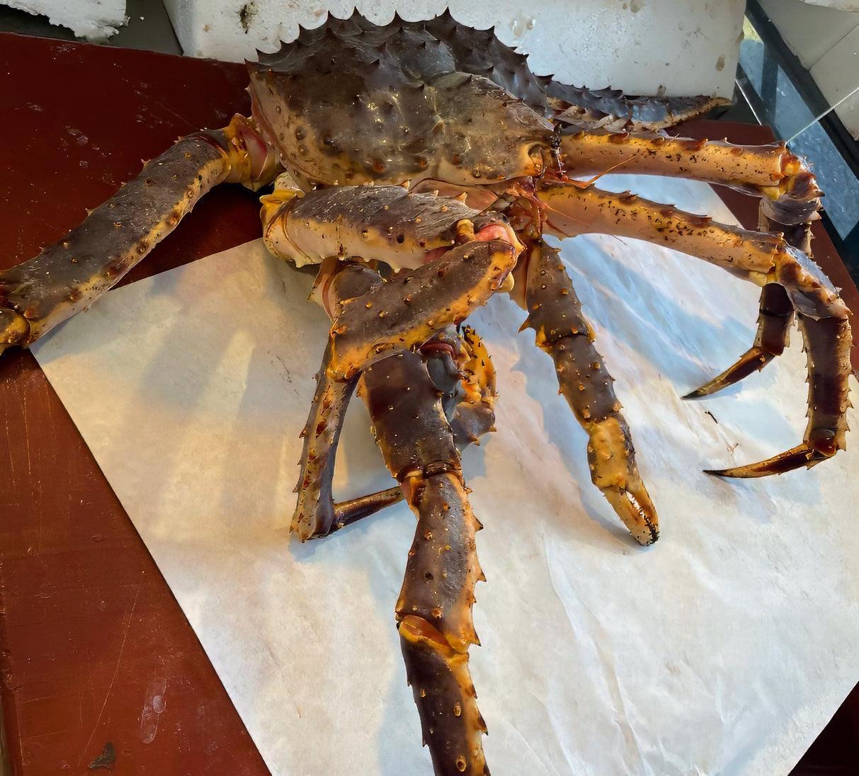 King Crab o Granchio reale fresco intero - Pescheria Ferroni | Milano
