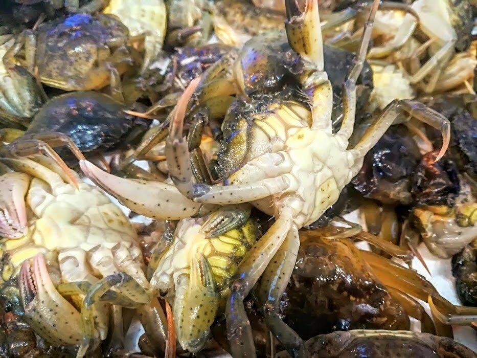 Moeche di laguna Italia - Pescheria Ferroni | Milano