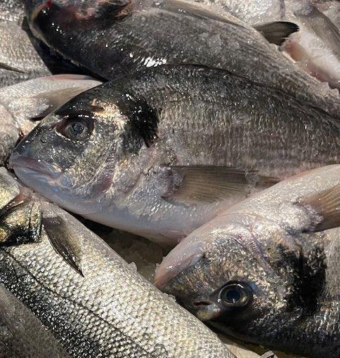 Orata allevata Italia - Pescheria Ferroni | Milano