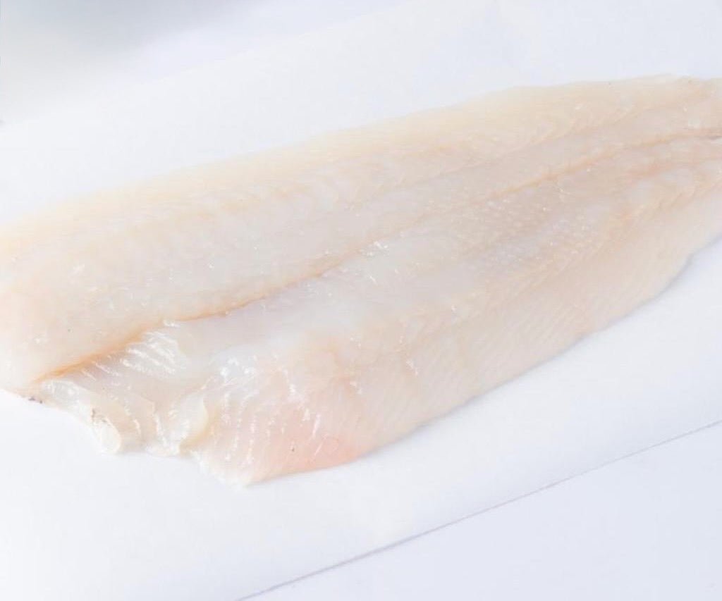 Platessa atlantica - Pescheria Ferroni | Milano