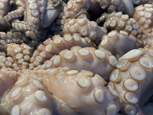 Polpo atlantico - Pescheria Ferroni | Milano