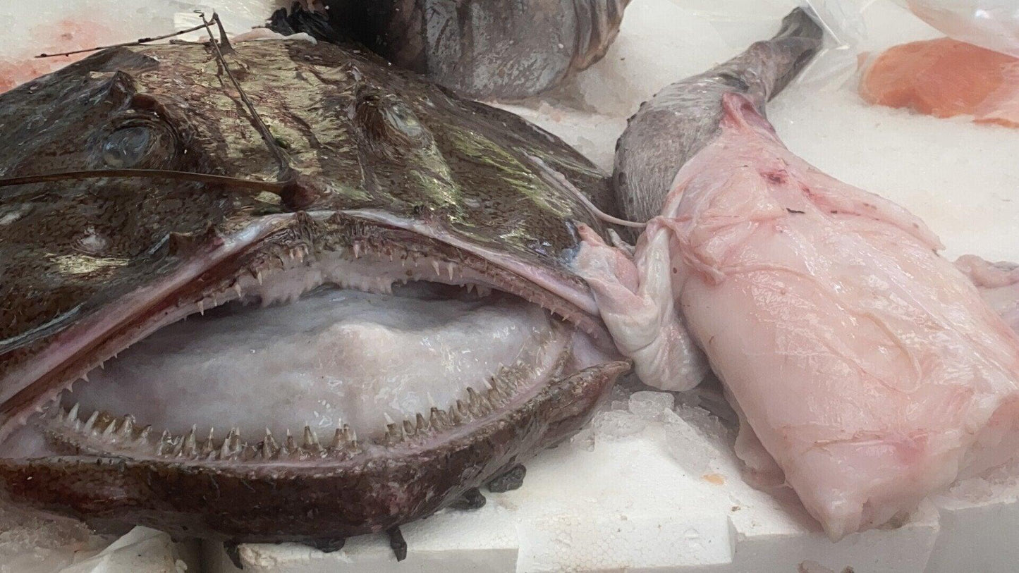 Rana pescatrice nostrana - Pescheria Ferroni | Milano