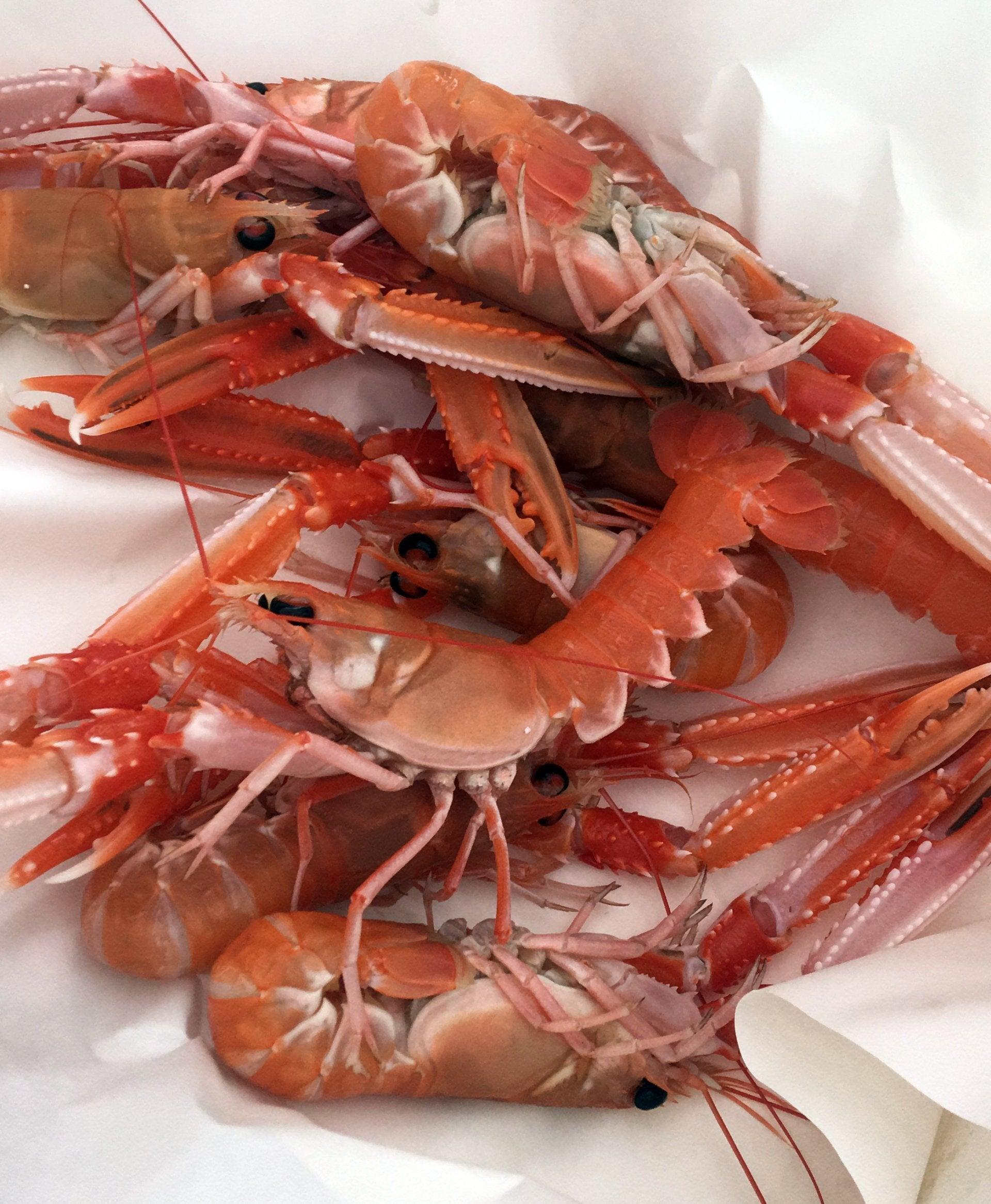 Scampi atlantico L3 - Pescheria Ferroni | Milano