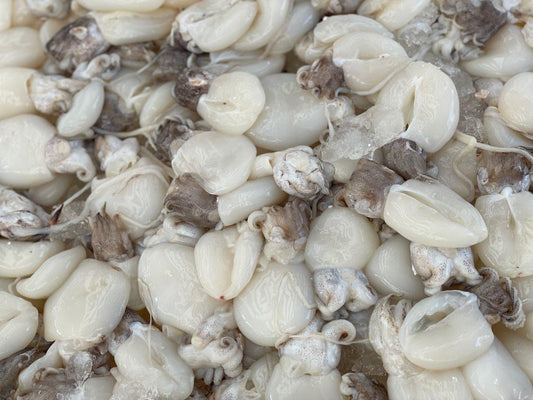 Seppioline pacifiche decongelate - Pescheria Ferroni | Milano