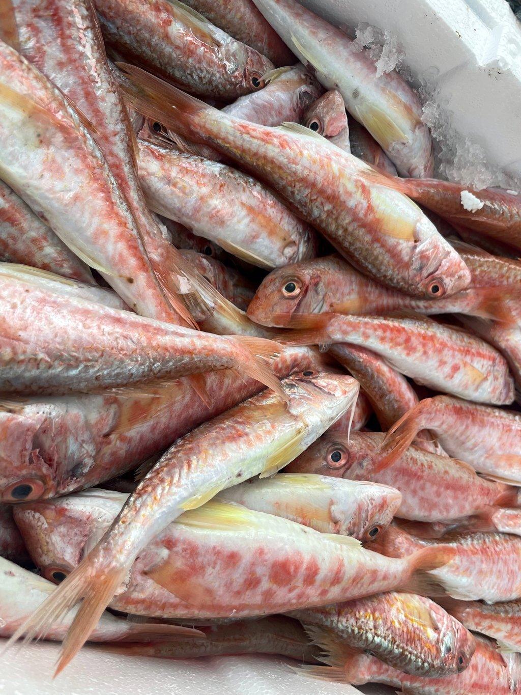Triglie di fango mediterraneo - Pescheria Ferroni | Milano
