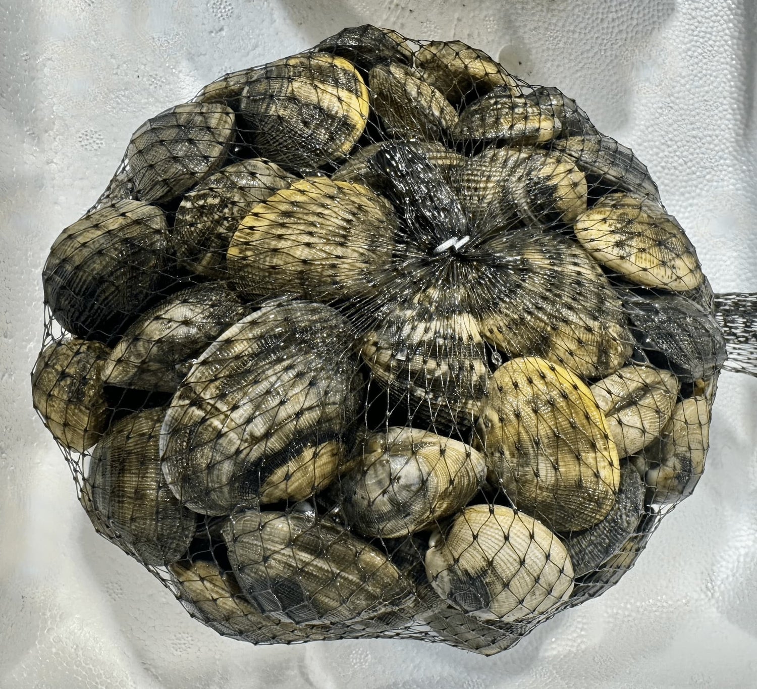 I Molluschi - Pescheria Ferroni