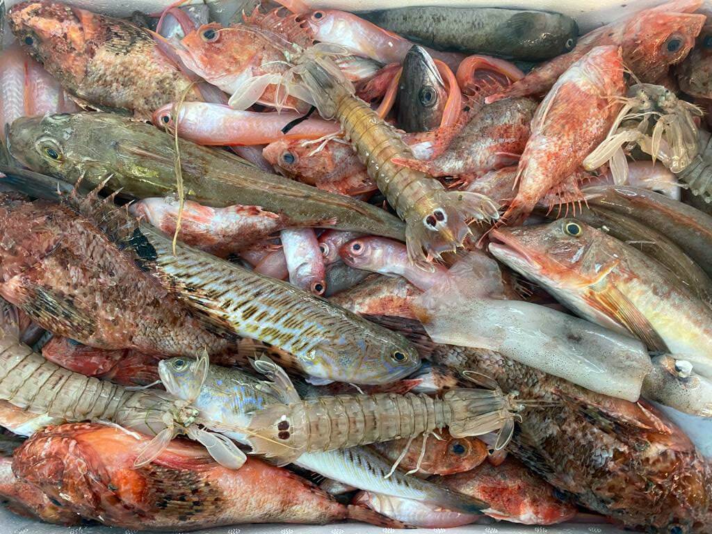 Il pescato del giorno - Pescheria Ferroni | Milano