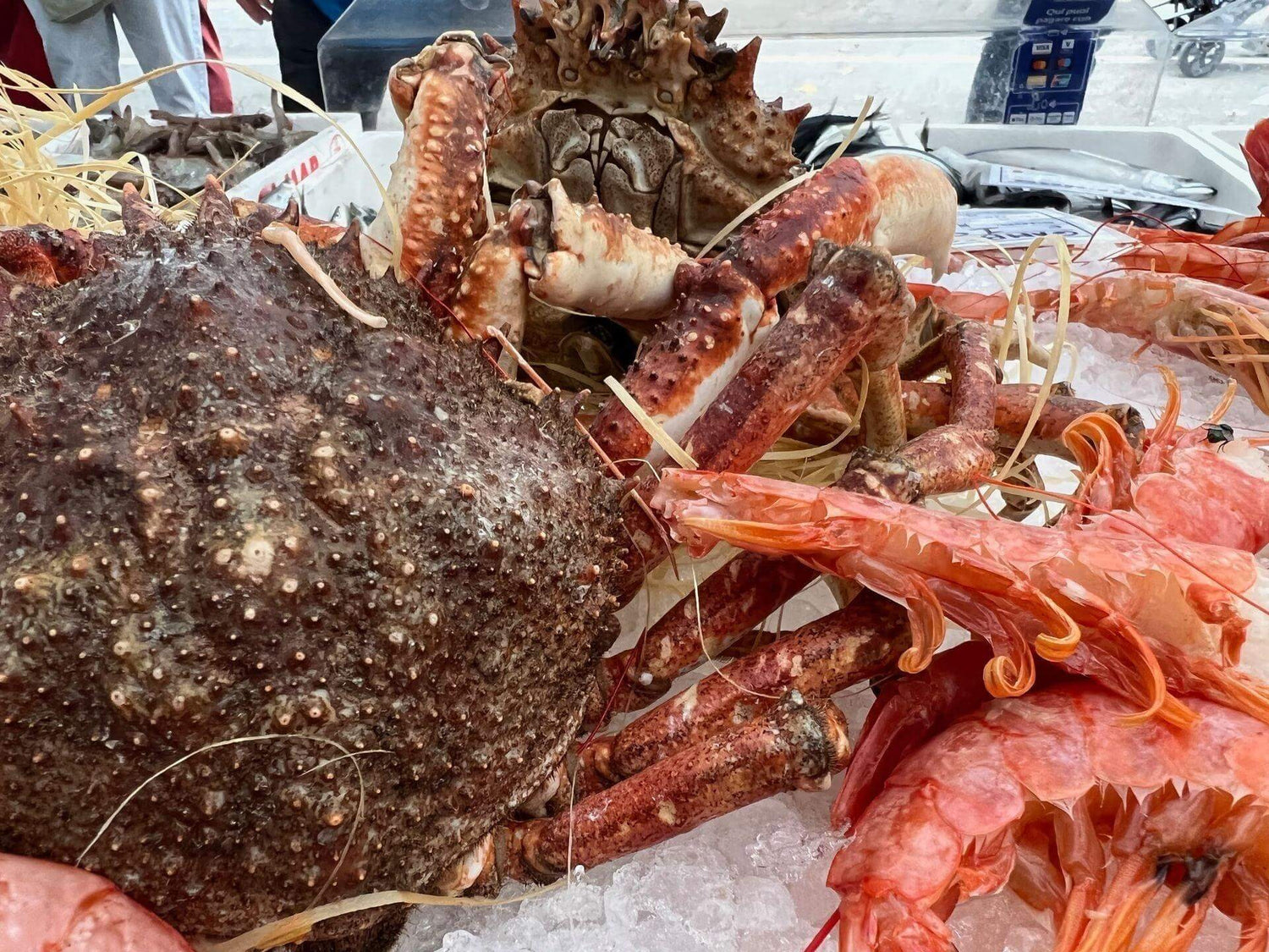 Il pescato del mondo - Pescheria Ferroni | Milano