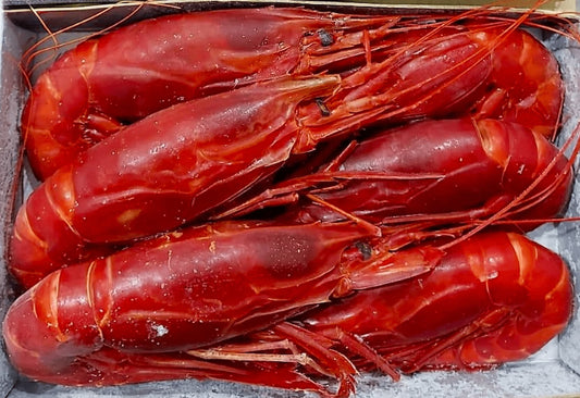 Gambero rosso carabineros di Galizia