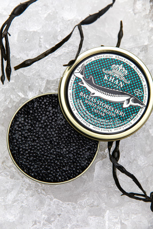 KHAN Caviale Di Storione bianco A.transmontanus
