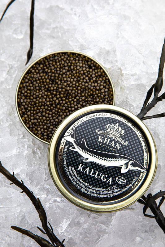 KHAN Caviale Kaluga Hybrid A. sckrenkiiXhuso dauricus