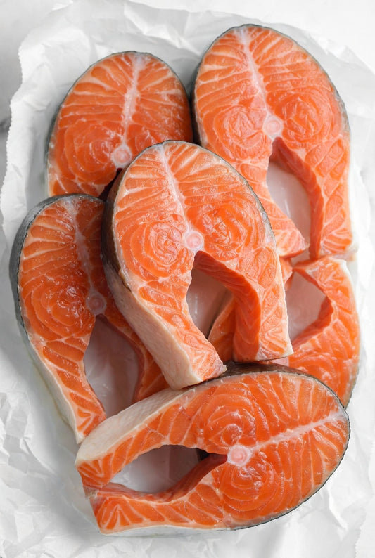 Salmone Norvegia fresco