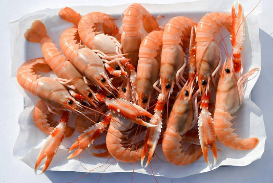 Scampi di San Benedetto del Tronto freschi L2