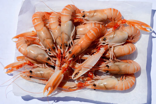 Scampi di San Benedetto del Tronto freschi L3