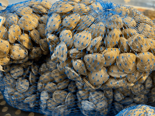 Vongole lupini italiane fresche
