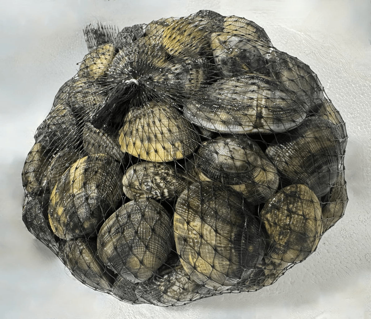 Vongole veraci italiane fresche