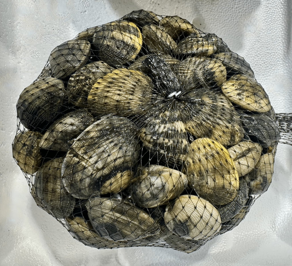 Vongole veraci italiane fresche