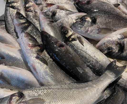 Branzino allevato Grecia - Pescheria Ferroni dal 1910