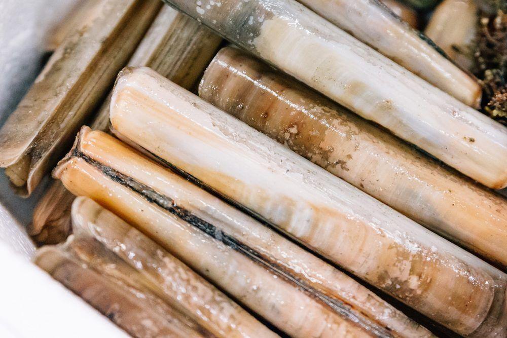 Cannolicchio atlantico - Pescheria Ferroni | Milano