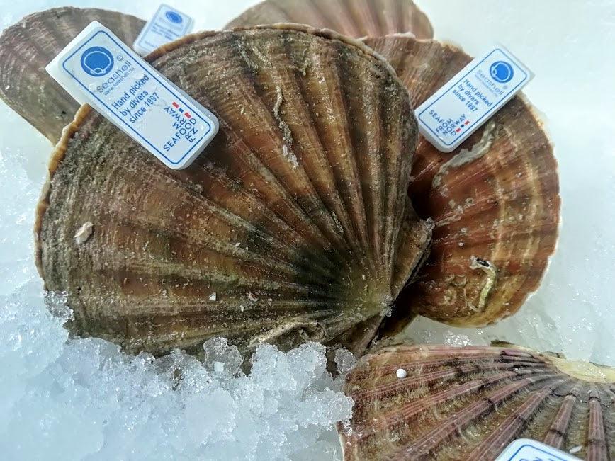 Cappesante atlantiche pescate Norvegia - Pescheria Ferroni | Milano