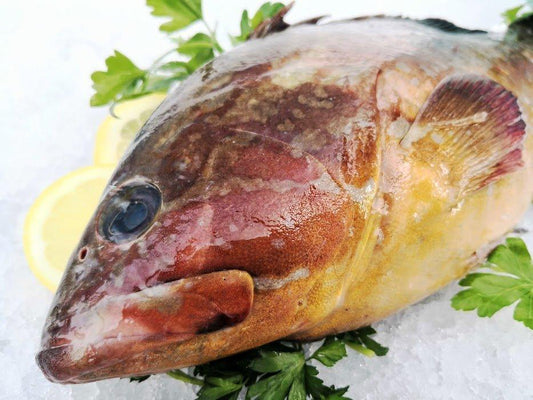 Cernia gialla del mediterraneo - Pescheria Ferroni | Milano