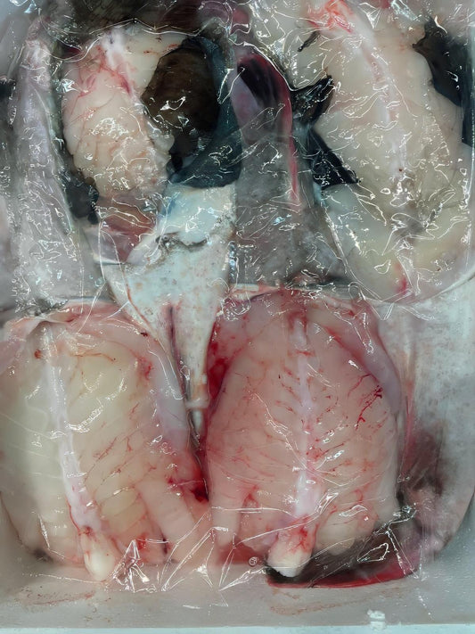 Coda di rospo atlantica - Pescheria Ferroni | Milano