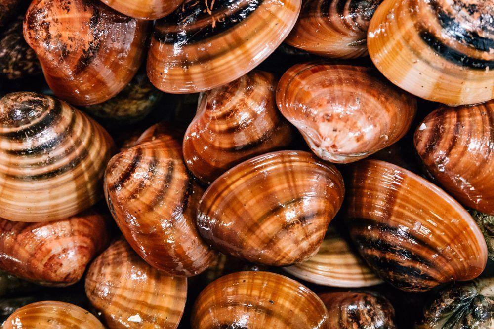 Fasolaro - Pescheria Ferroni | Milano