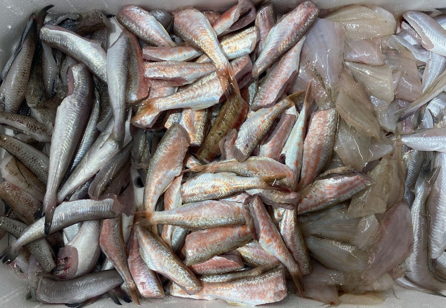 Frittura di Paranza - Pescheria Ferroni | Milano