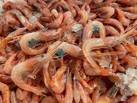 Gambero gobbetto italiano - Pescheria Ferroni | Milano