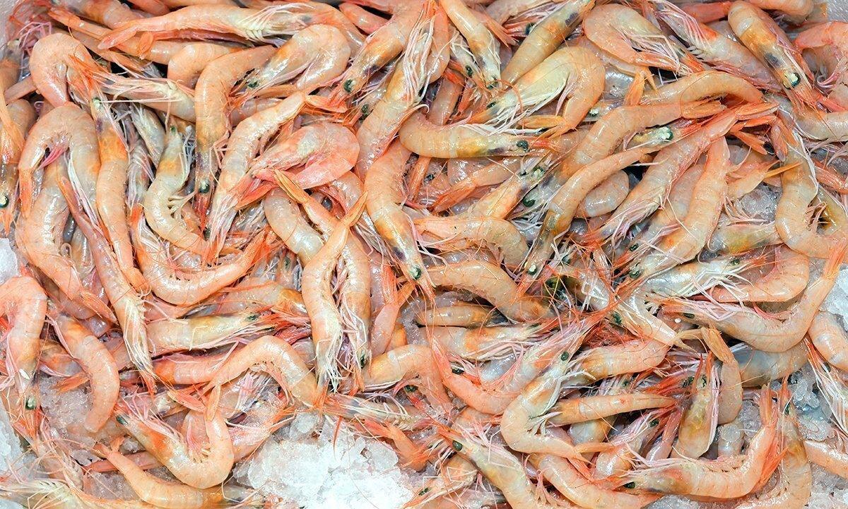 Gambero rosa italiano - Pescheria Ferroni | Milano