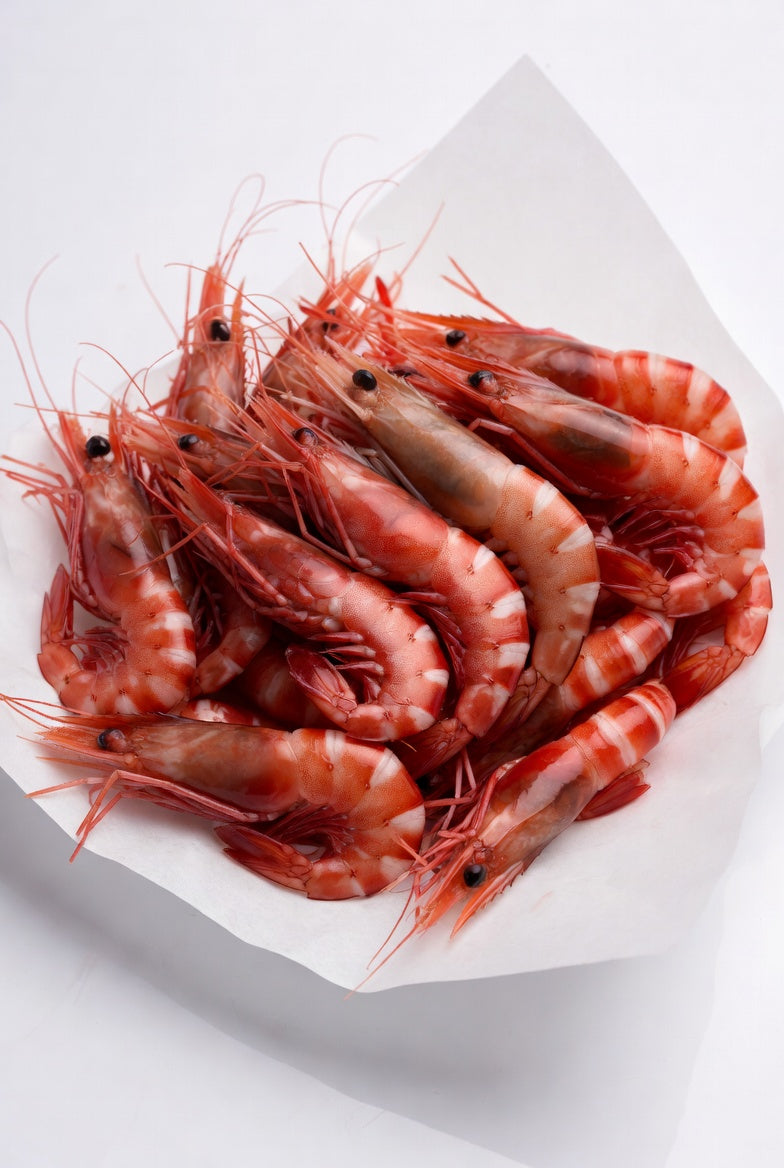 Gambero rosso mediterraneo abbattuto L2