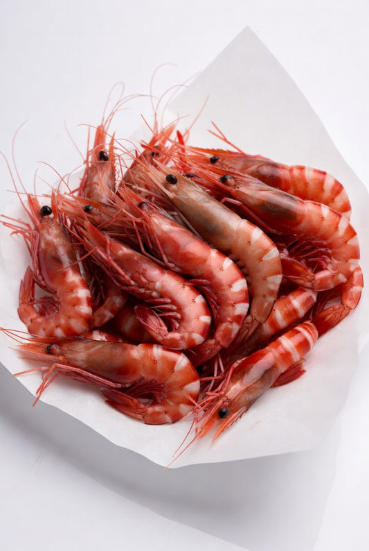 Gambero rosso mediterraneo abbattuto L2