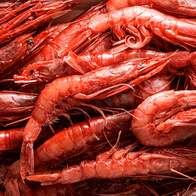 Gambero rosso L1 Mazara del Vallo - Pescheria Ferroni | Milano