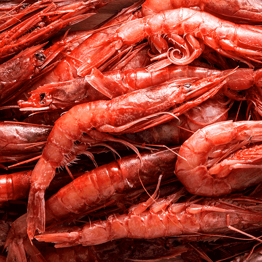 Gambero rosso L1 Mazara del Vallo - Pescheria Ferroni | Milano
