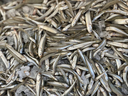 Latterino Italia - Pescheria Ferroni | Milano