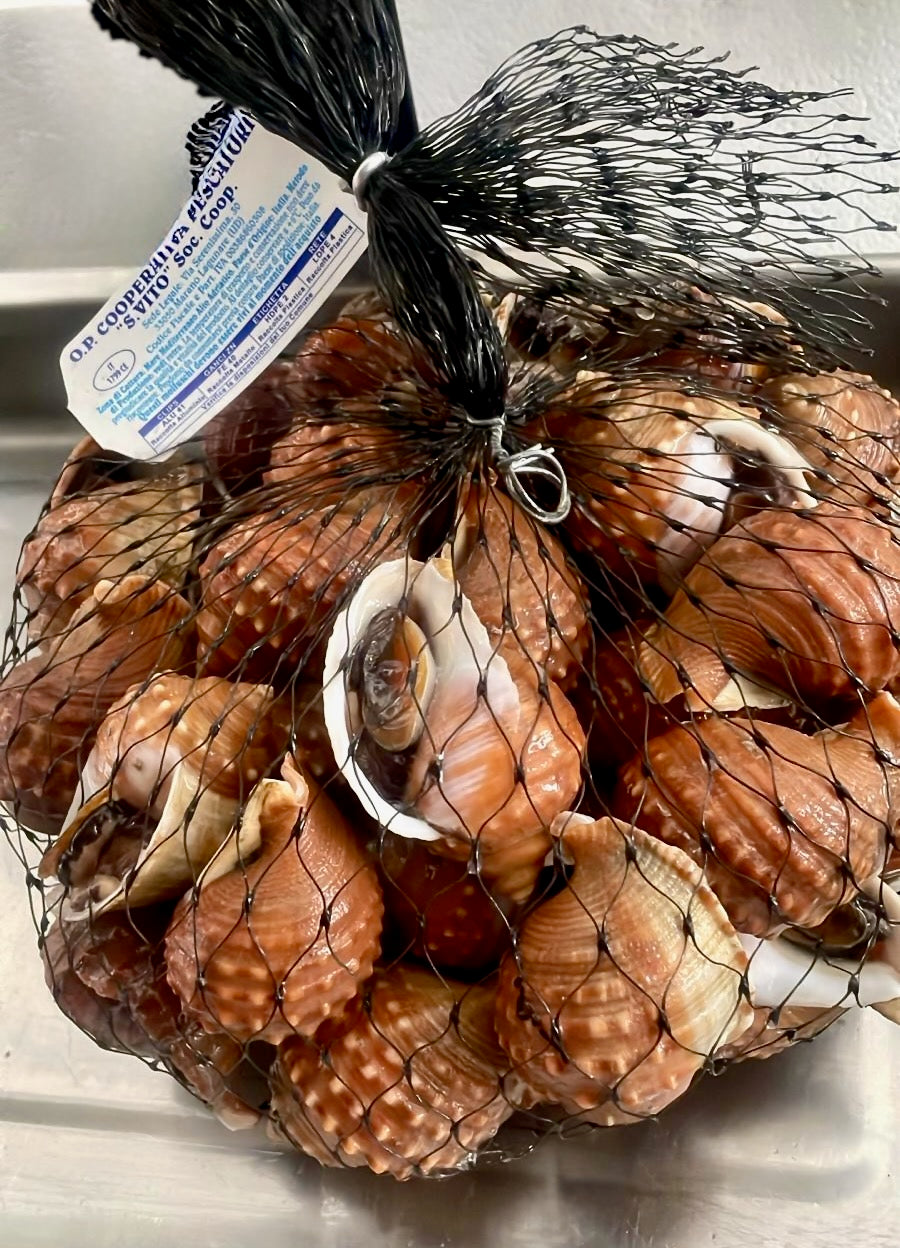 Lumachine di mare del Mediterraneo fresche