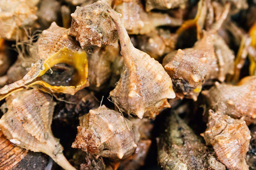 Murice spinoso - Pescheria Ferroni | Milano