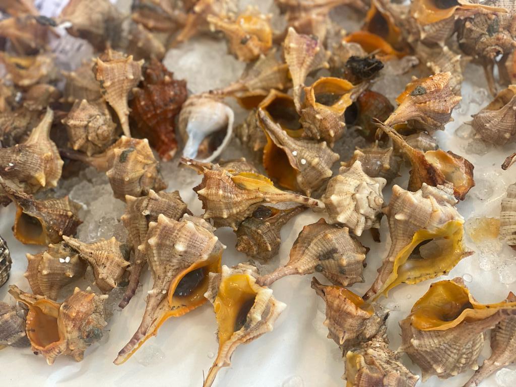 Murice spinoso - Pescheria Ferroni | Milano