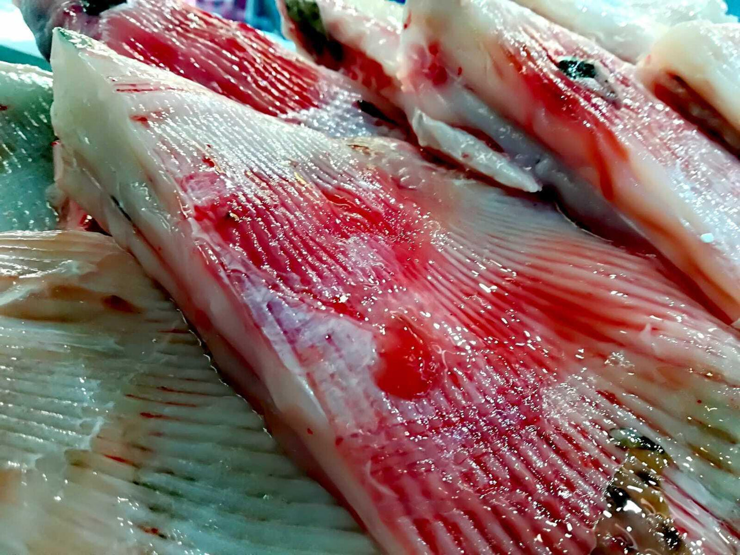 Razza del mediterraneo - Pescheria Ferroni | Milano