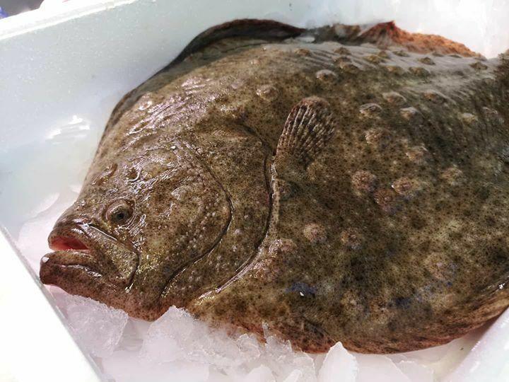 Rombo Chiodato Italia - Pescheria Ferroni | Milano