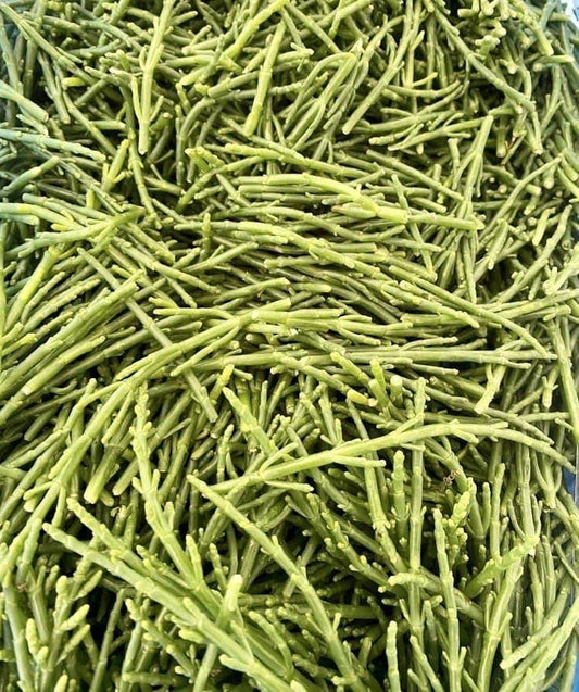 Salicornia - Pescheria Ferroni | Milano