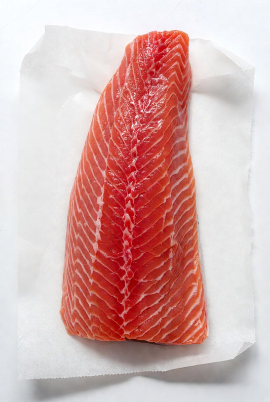 Salmone selvaggio Sockeye Alaska abbattuto