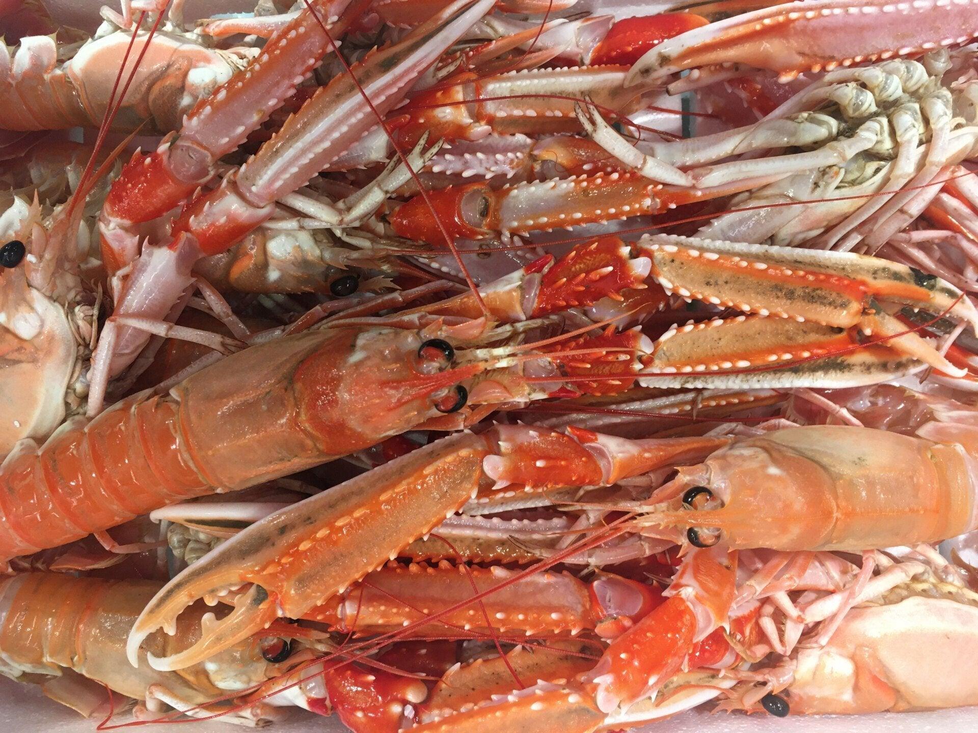 Scampi L2 San Benedetto del Tronto Italia - Pescheria Ferroni | Milano